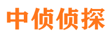 青白江市侦探调查公司